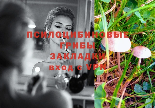 марки nbome Алексеевка